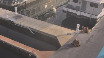 Weather camera view of Lake Powell Resorts and Marinas - Wahweap Marina.