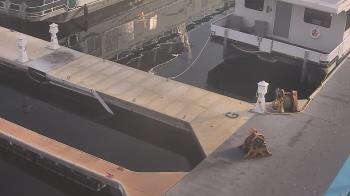 Weather camera view of Lake Powell Resorts and Marinas - Wahweap Marina.
