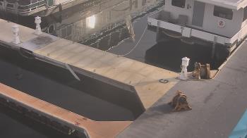 Weather camera view of Lake Powell Resorts and Marinas - Wahweap Marina.