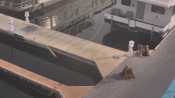 Weather camera view of Lake Powell Resorts and Marinas - Wahweap Marina.
