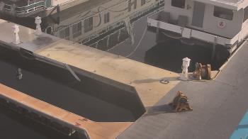 Weather camera view of Lake Powell Resorts and Marinas - Wahweap Marina.