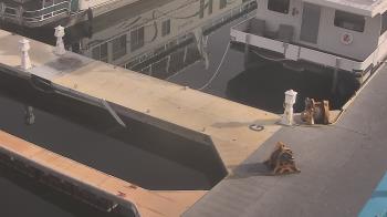Weather camera view of Lake Powell Resorts and Marinas - Wahweap Marina.