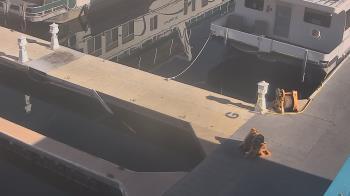 Weather camera view of Lake Powell Resorts and Marinas - Wahweap Marina.
