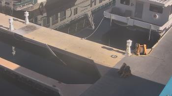 Weather camera view of Lake Powell Resorts and Marinas - Wahweap Marina.