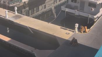 Weather camera view of Lake Powell Resorts and Marinas - Wahweap Marina.