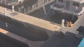 Weather camera view of Lake Powell Resorts and Marinas - Wahweap Marina.