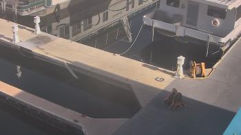 Weather camera view of Lake Powell Resorts and Marinas - Wahweap Marina.