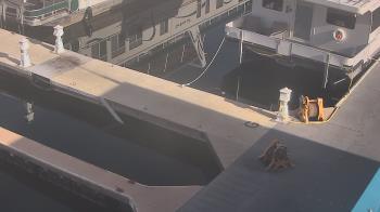 Weather camera view of Lake Powell Resorts and Marinas - Wahweap Marina.
