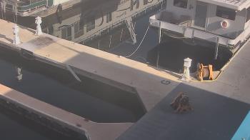 Weather camera view of Lake Powell Resorts and Marinas - Wahweap Marina.