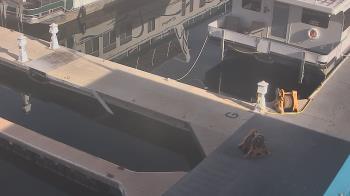 Weather camera view of Lake Powell Resorts and Marinas - Wahweap Marina.