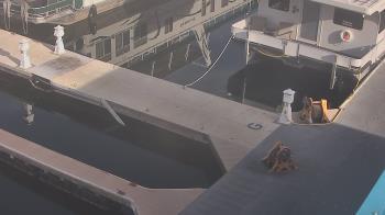 Weather camera view of Lake Powell Resorts and Marinas - Wahweap Marina.