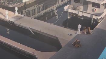 Weather camera view of Lake Powell Resorts and Marinas - Wahweap Marina.