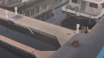 Weather camera view of Lake Powell Resorts and Marinas - Wahweap Marina.