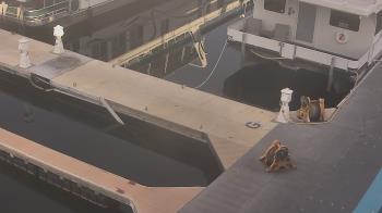 Weather camera view of Lake Powell Resorts and Marinas - Wahweap Marina.