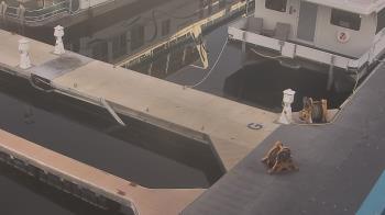 Weather camera view of Lake Powell Resorts and Marinas - Wahweap Marina.