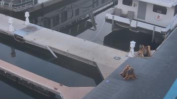 Weather camera view of Lake Powell Resorts and Marinas - Wahweap Marina.