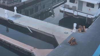 Weather camera view of Lake Powell Resorts and Marinas - Wahweap Marina.