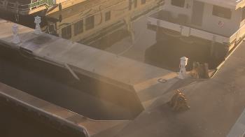 Weather camera view of Lake Powell Resorts and Marinas - Wahweap Marina.