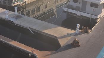 Weather camera view of Lake Powell Resorts and Marinas - Wahweap Marina.