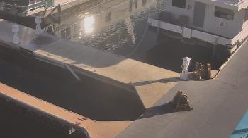 Weather camera view of Lake Powell Resorts and Marinas - Wahweap Marina.