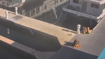Weather camera view of Lake Powell Resorts and Marinas - Wahweap Marina.