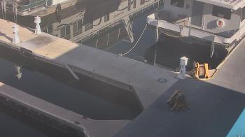 Weather camera view of Lake Powell Resorts and Marinas - Wahweap Marina.