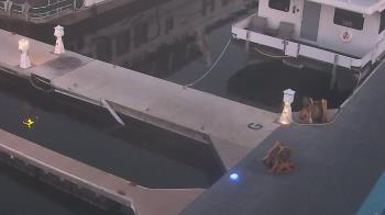 Weather camera view of Lake Powell Resorts and Marinas - Wahweap Marina.