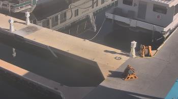 Weather camera view of Lake Powell Resorts and Marinas - Wahweap Marina.