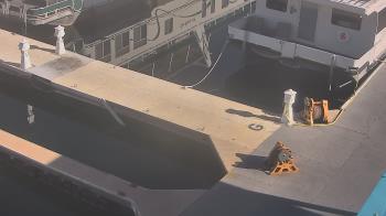 Weather camera view of Lake Powell Resorts and Marinas - Wahweap Marina.