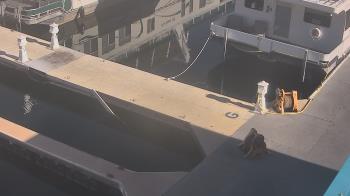 Weather camera view of Lake Powell Resorts and Marinas - Wahweap Marina.