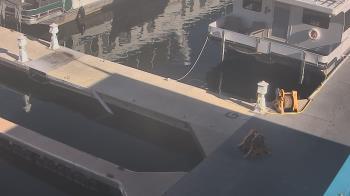 Weather camera view of Lake Powell Resorts and Marinas - Wahweap Marina.