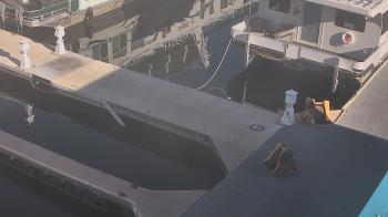 Weather camera view of Lake Powell Resorts and Marinas - Wahweap Marina.