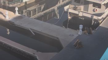 Weather camera view of Lake Powell Resorts and Marinas - Wahweap Marina.