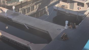 Weather camera view of Lake Powell Resorts and Marinas - Wahweap Marina.