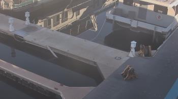 Weather camera view of Lake Powell Resorts and Marinas - Wahweap Marina.