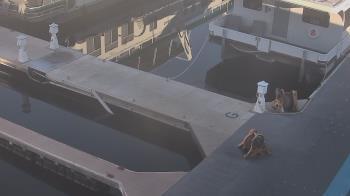 Weather camera view of Lake Powell Resorts and Marinas - Wahweap Marina.