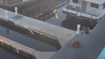 Weather camera view of Lake Powell Resorts and Marinas - Wahweap Marina.