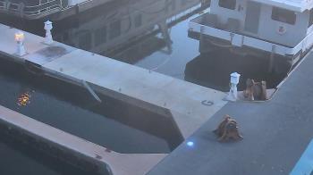 Weather camera view of Lake Powell Resorts and Marinas - Wahweap Marina.