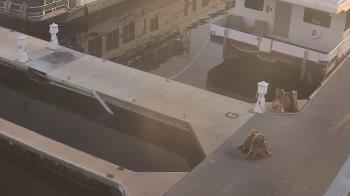 Weather camera view of Lake Powell Resorts and Marinas - Wahweap Marina.