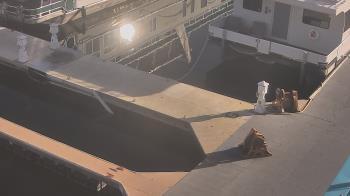 Weather camera view of Lake Powell Resorts and Marinas - Wahweap Marina.