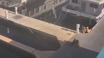 Weather camera view of Lake Powell Resorts and Marinas - Wahweap Marina.