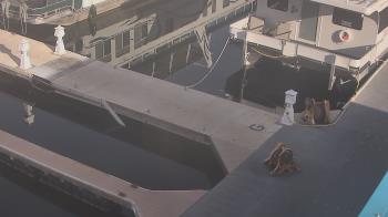 Weather camera view of Lake Powell Resorts and Marinas - Wahweap Marina.