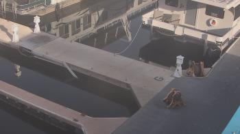 Weather camera view of Lake Powell Resorts and Marinas - Wahweap Marina.