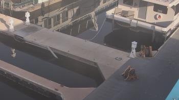 Weather camera view of Lake Powell Resorts and Marinas - Wahweap Marina.