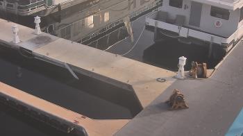 Weather camera view of Lake Powell Resorts and Marinas - Wahweap Marina.