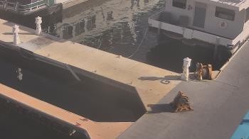 Weather camera view of Lake Powell Resorts and Marinas - Wahweap Marina.