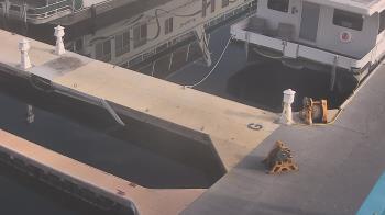 Weather camera view of Lake Powell Resorts and Marinas - Wahweap Marina.