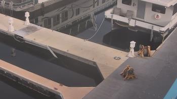 Weather camera view of Lake Powell Resorts and Marinas - Wahweap Marina.