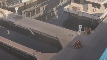 Weather camera view of Lake Powell Resorts and Marinas - Wahweap Marina.