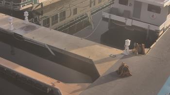 Weather camera view of Lake Powell Resorts and Marinas - Wahweap Marina.